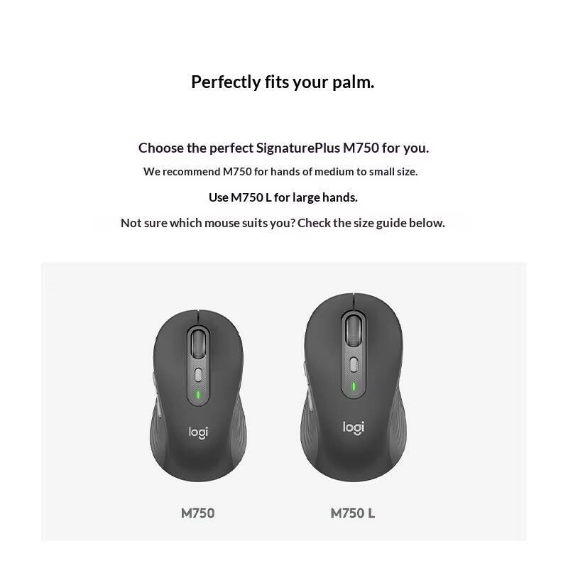 Logitech M750 Mouse wireless D - Home Office For Mac recensione e prezzo